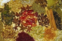 Plante aromatice, mirodenii, oţet şi alte grăsimi